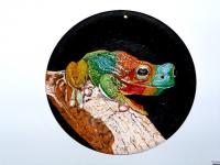 Naina_Xolmogorova Rainbow Frog Animalism