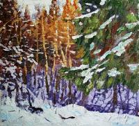 Rudnik Winter forest Landscape