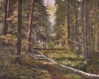 Alexey Efimov Russian forest Landscape